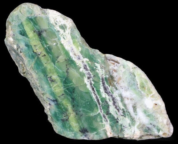 Polished Green-White Opal Slab - Western Australia #65401